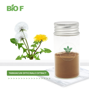 Wholesale Free Sample Dandelion Extract Powder/ Taraxacum Officinale Extract