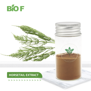 Pure Natural Horsetail Grass Extract Powder Silica 7% Horsetail Extract