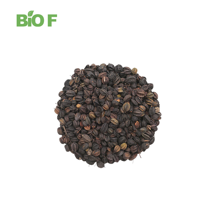 Natural Herb Supplement Eleutherococcus Senticosus Extract Acanthopanax Extract Powder