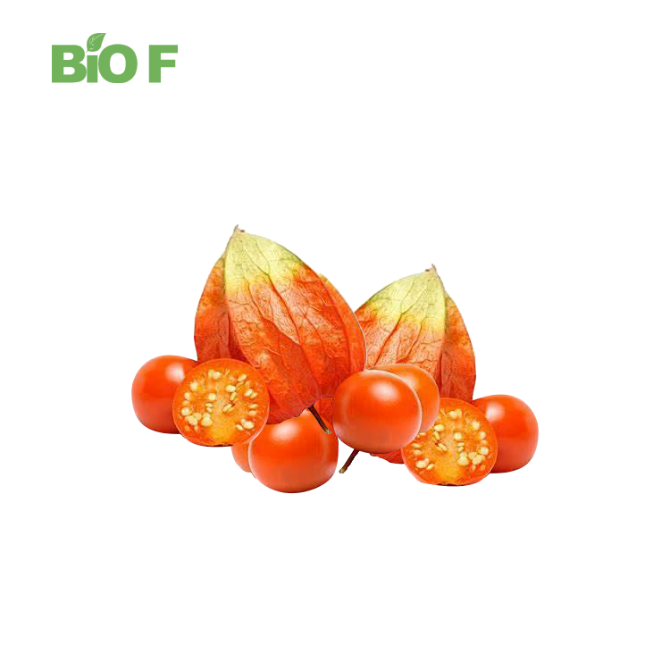 Wholesale Pure Natural Ashwaganda Extract Powder 10:1 Ashwaganda Powder