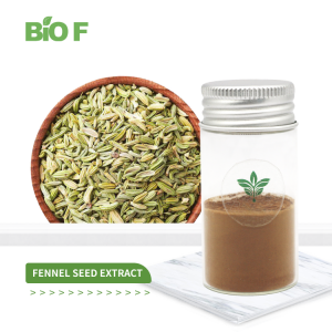Natural 10:1 Foeniculum Vulgare Fennel Extract Fennel Seed Extract Powder