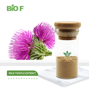 Milk Thistle Extract Water Soluble Silymarin 40% Powder for Supplement Formulations