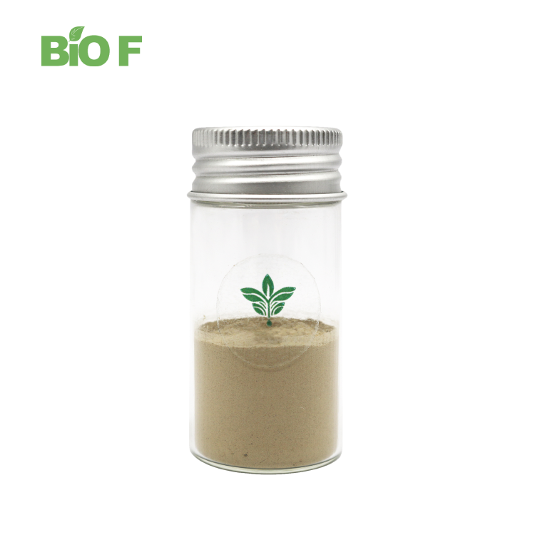 Super Quality Natural Plant Chamomile Flower Extract Powder