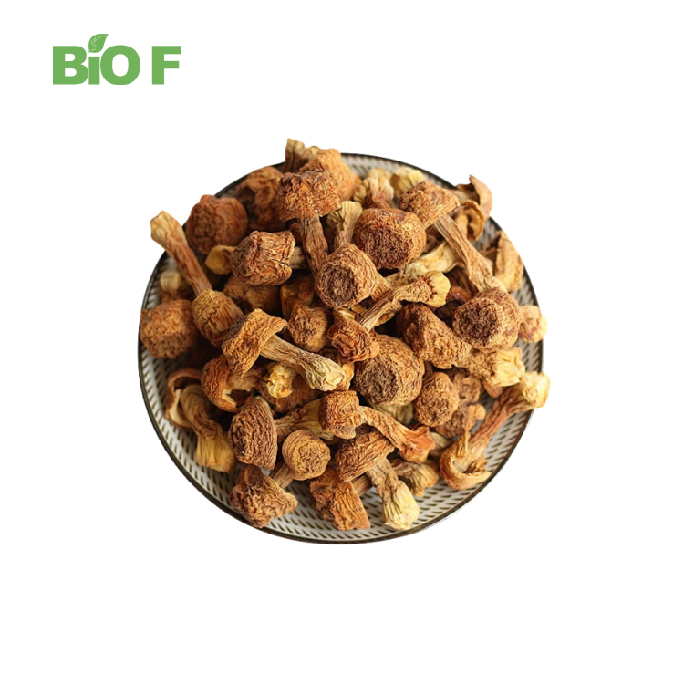 Pure Agaricus Blazei Murill Extract/Agaricus Blazei Extract/Agaricus Blazei 50% Polysaccharide Powder