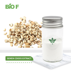 Hot Sale High Quality Natural Semen Coicis Extract Coix Seed Extract Powder