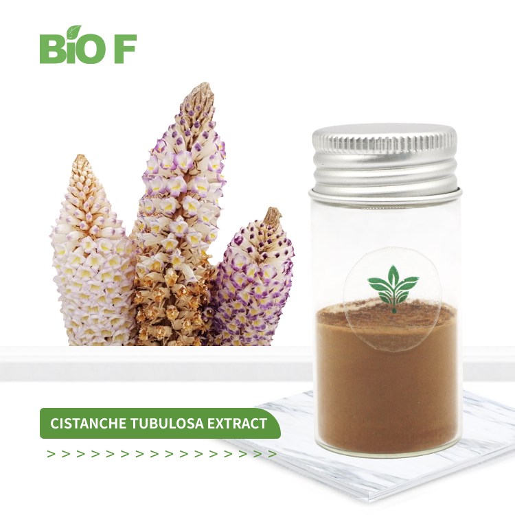 What is Cistanche Tubulosa Extract Good for?