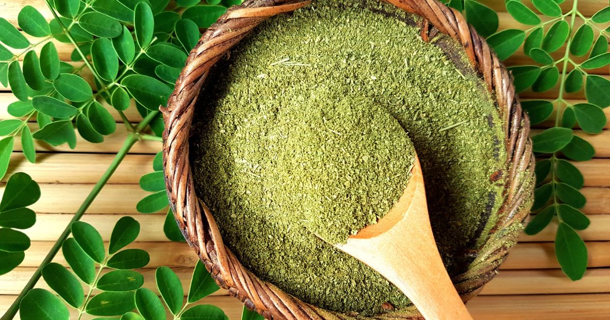 What is the Moringa Leaf Powder Good for?