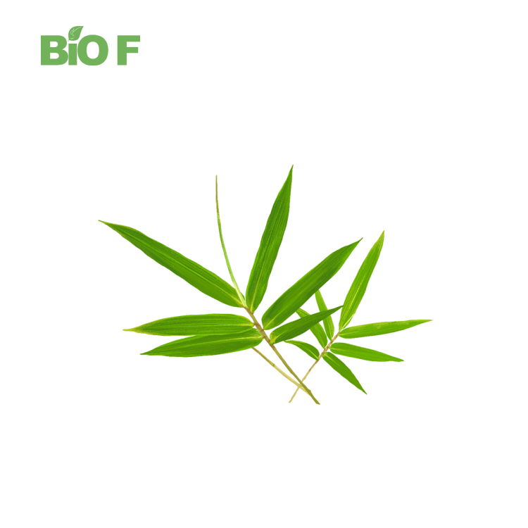 Natural Bamboo Leaf Extract Food Grade Bamboo Extract Flavonoids Powder