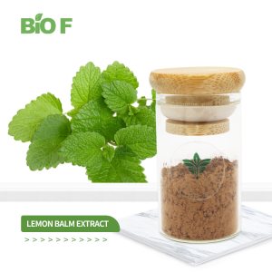 Natural Herb Melissa Officinalis Lemon Balm Extract Powder with Free Sample
