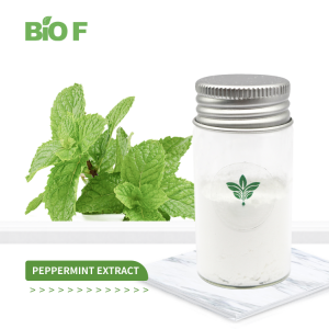 Hot Selling Pure&Natural Peppermint Extract Powder in Bulk