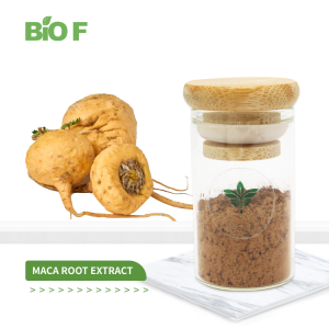 Superior Quality Maca Extract Herbal Extract Pure Natural Maca Root Extract