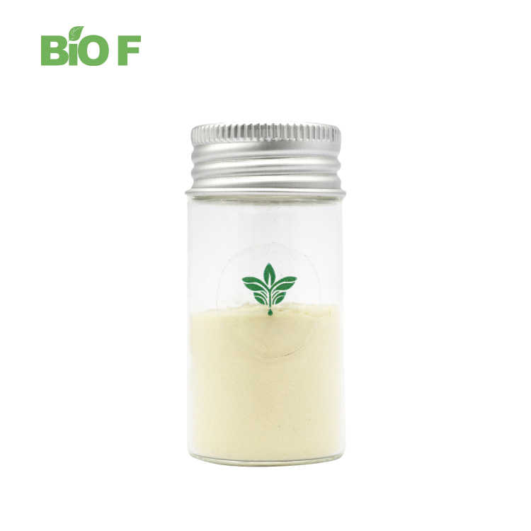 Wholesale Herb Scutellaria Baicalensis Extract Baicalin Powder