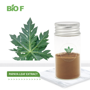 High Quality Natural 10:1 Papaya Saponins Fermented Papaya Leaf Extract Powder