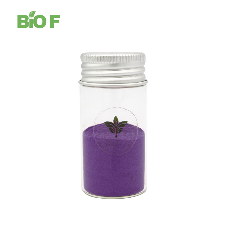 Wholesale Natural Black Wolfberry Goji Berry Fruit Powder