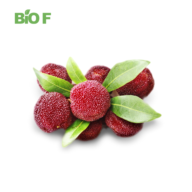Health Care Supplement Natural Myricetin Extract Myricetin Powder