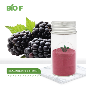 Natural Herbal Extract Food Grade Antioxidant Anthocyanin Blackberry Extract Powder