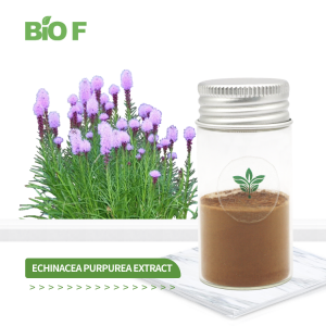 Top Quality 4% Chicoric Acid Echinacea Purpurea Extract Powder Best Selling