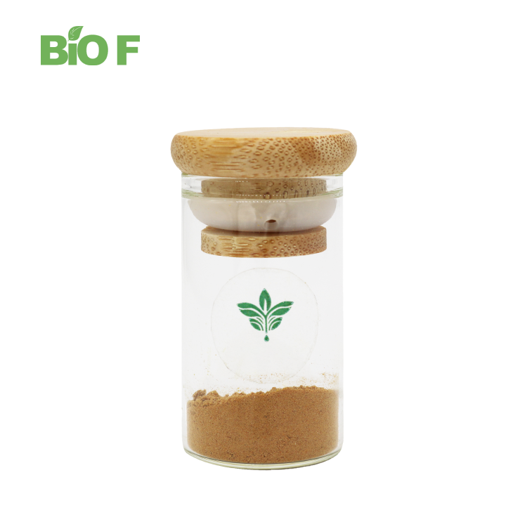 Wholesale Price Horse Chestnut Extract Powder Aescin 20%-40% Powder