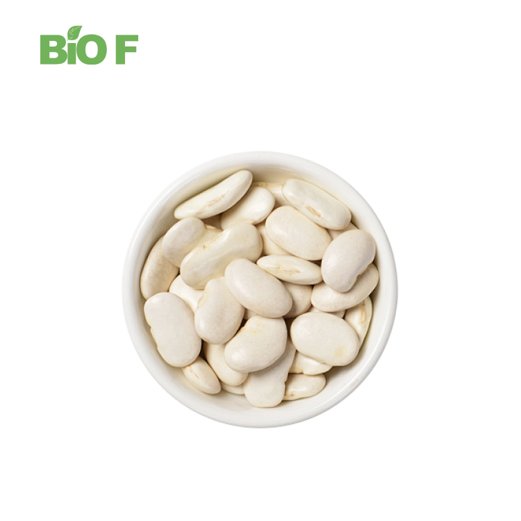 Good Solubility White Kidney Bean Powder 10:1 White Kidney Bean Extract