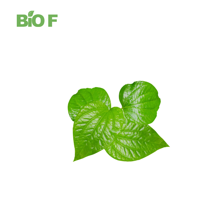 Healthcare Supplement Kava Extract Powder Kava Powder in Bulk