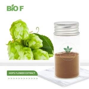 Natural Healthcare Supplement 5% Xanthohumol Hops Flower Extract