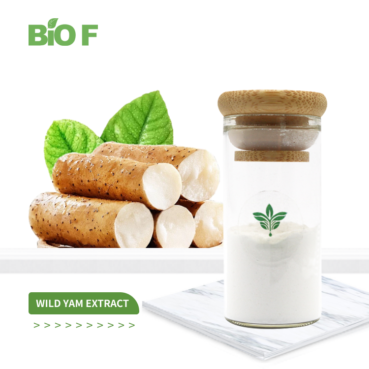 What Is Yam Extract Good For?