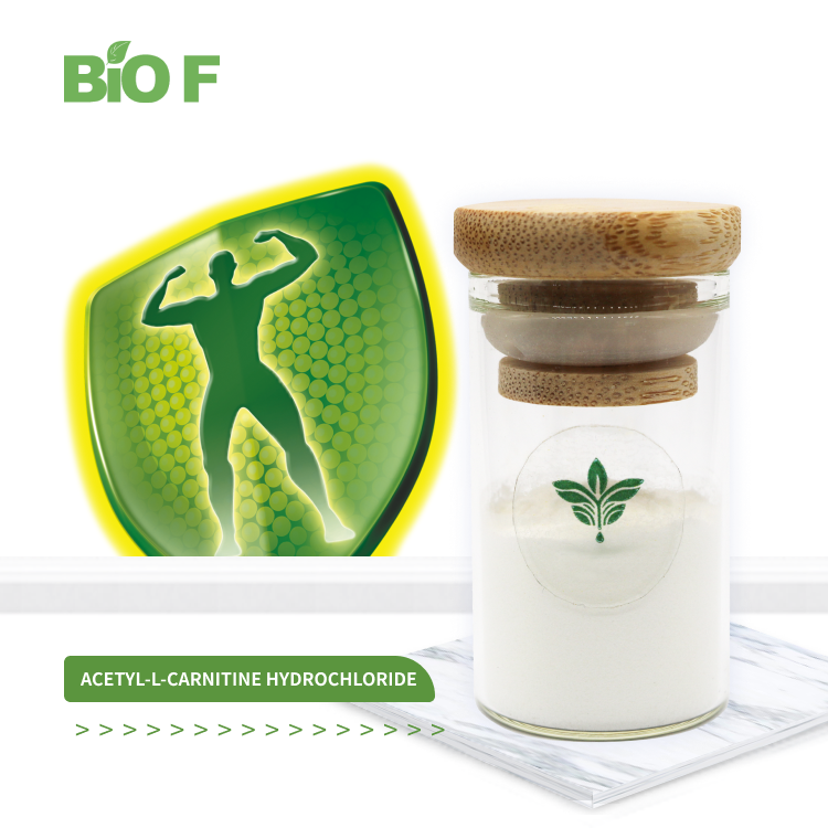 BIOF Supply High Quality Acetyl-L-carnitine Hydrochloride Powder