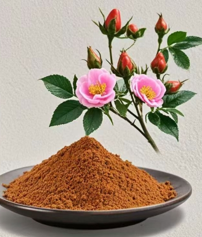 What is Rose Hip Extract Used for?