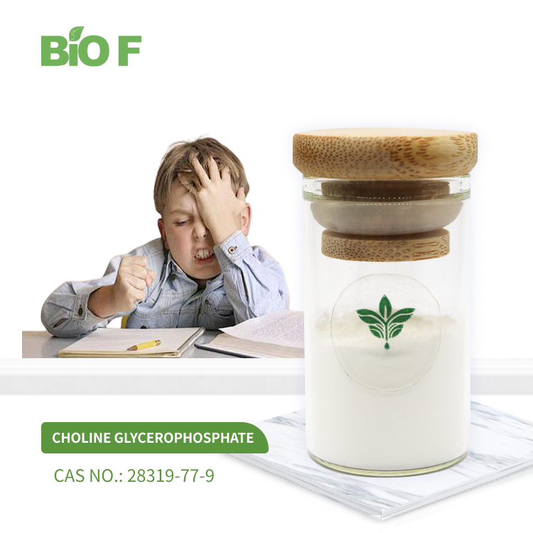 BIOF Supply High Quality Choline Glycerophosphate Powder CAS 28319-77-9 sn-Glycero-3-phosphocholine