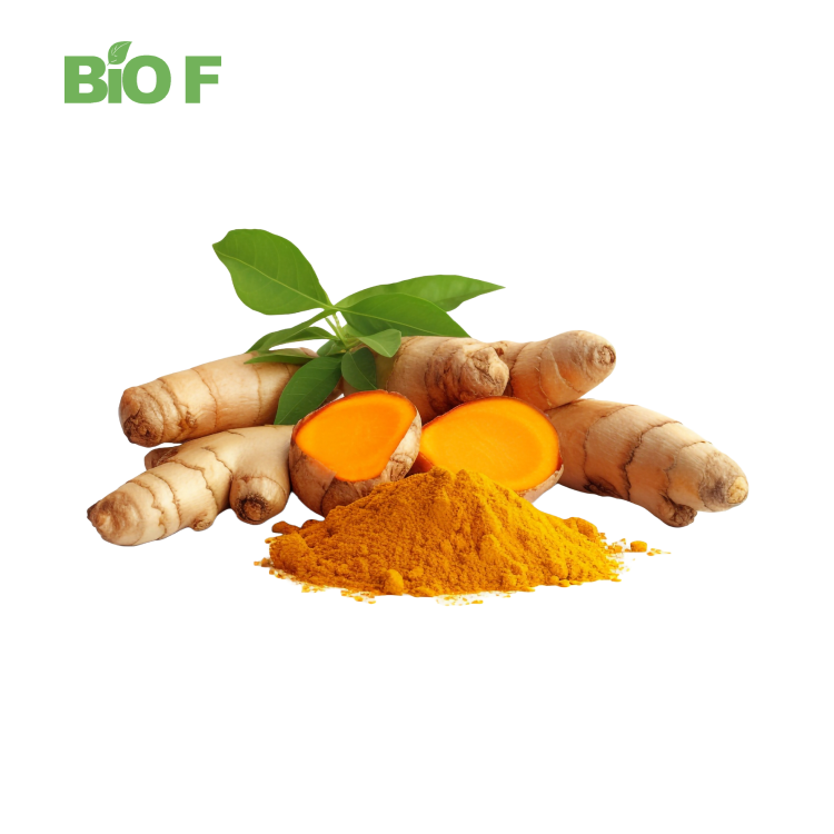 Organic Natural Water Soluble Curcumin Extract Curcumin Powder CAS 458-37-7