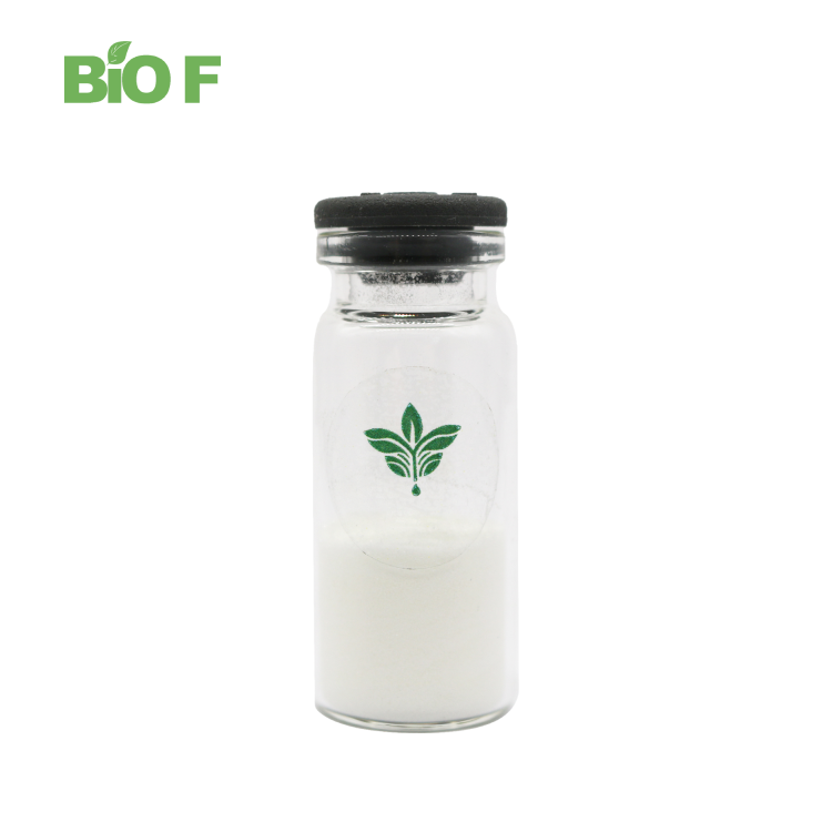 High Quality Sports Supplements L-Glutamine Powder 99% Purity Glutamine fine powder