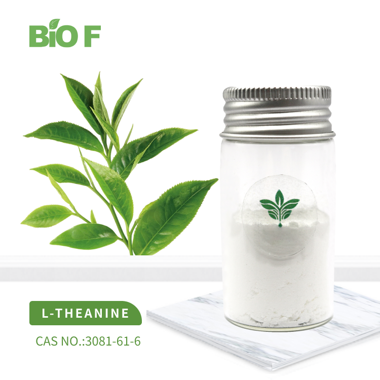 Manufacturer Supply L-Theanine Nutritional Enhancer L-Theanine Powder