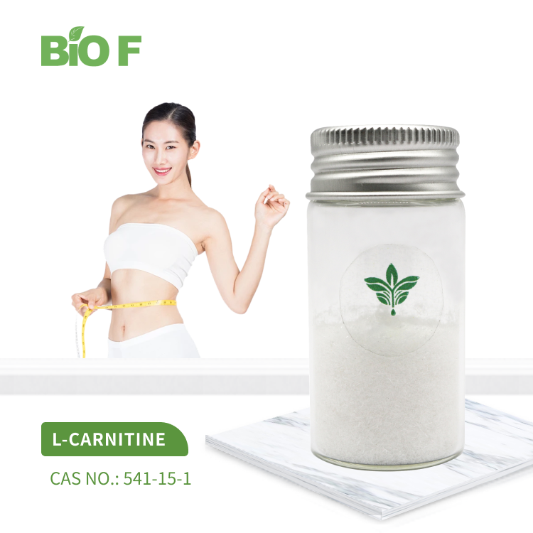 Fat Burner Supplement CAS 90471-79-7 L-Carnitine Slimming L-carnitine Powder