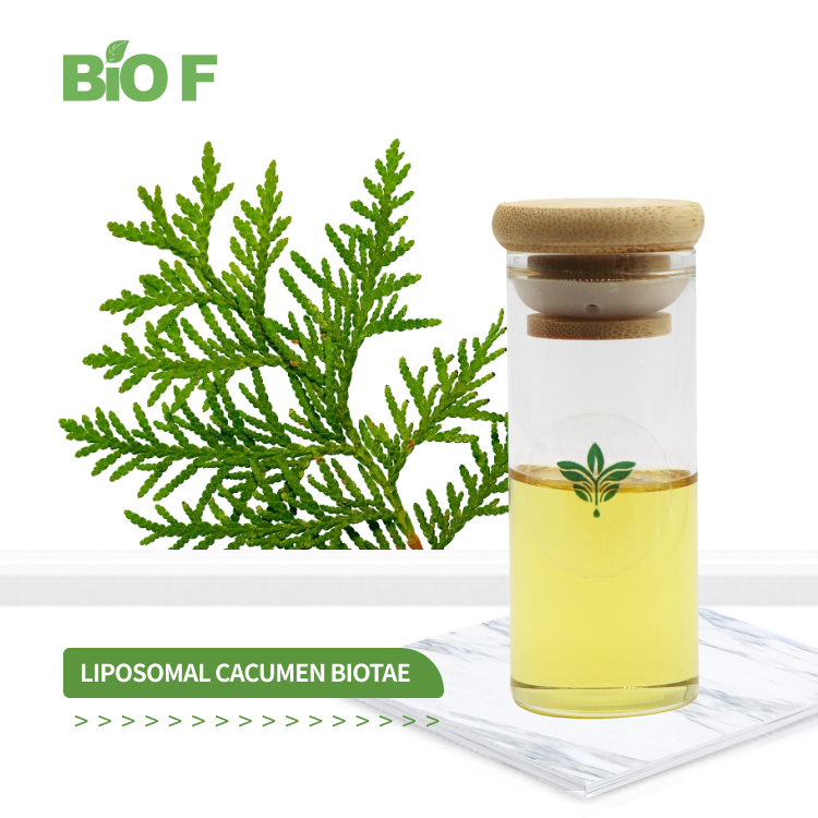 Hot Selling Wholesale Liposomal Cacumen Biotae Liquid Cacumen Biotae