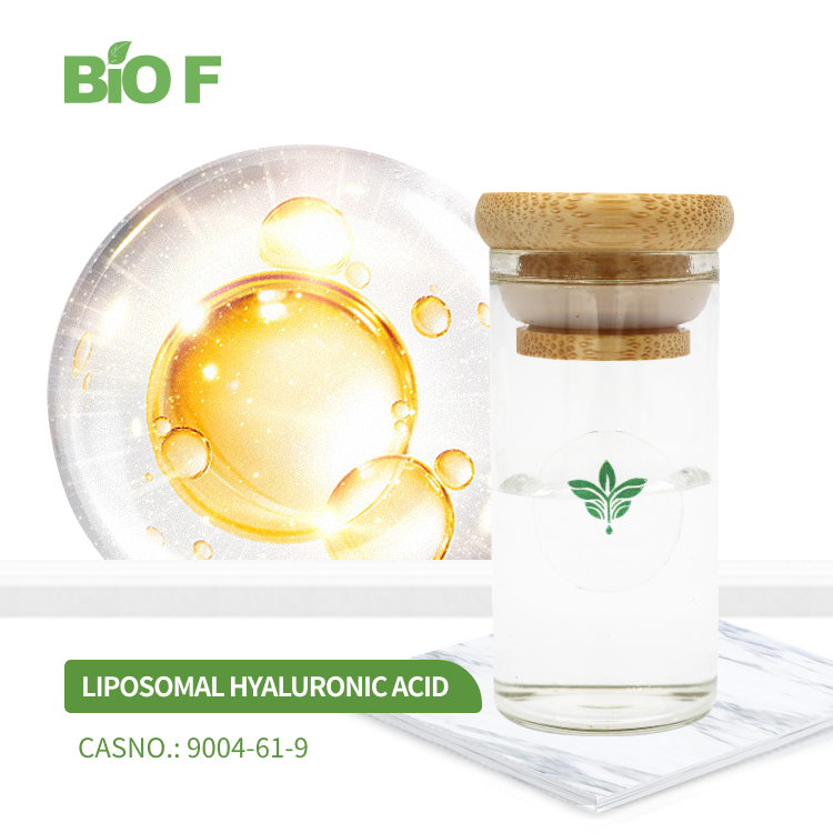 Liposomal Hyaluronic Acid