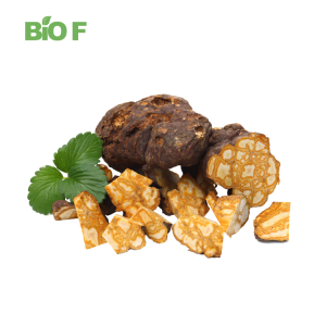 Factory Supply Hot Selling Liposomal Polygonum Multiflorum For Hair Care