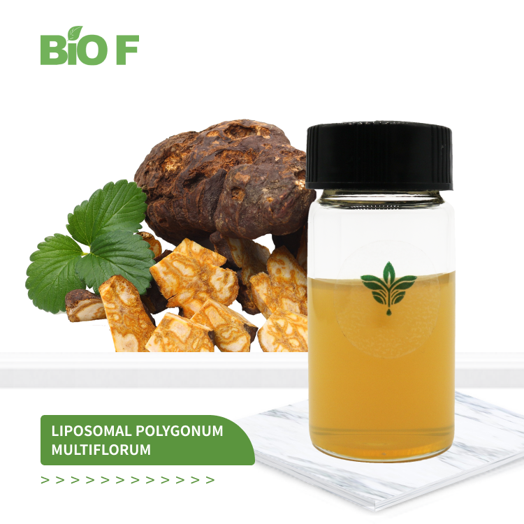 Factory Supply Hot Selling Liposomal Polygonum Multiflorum For Hair Care