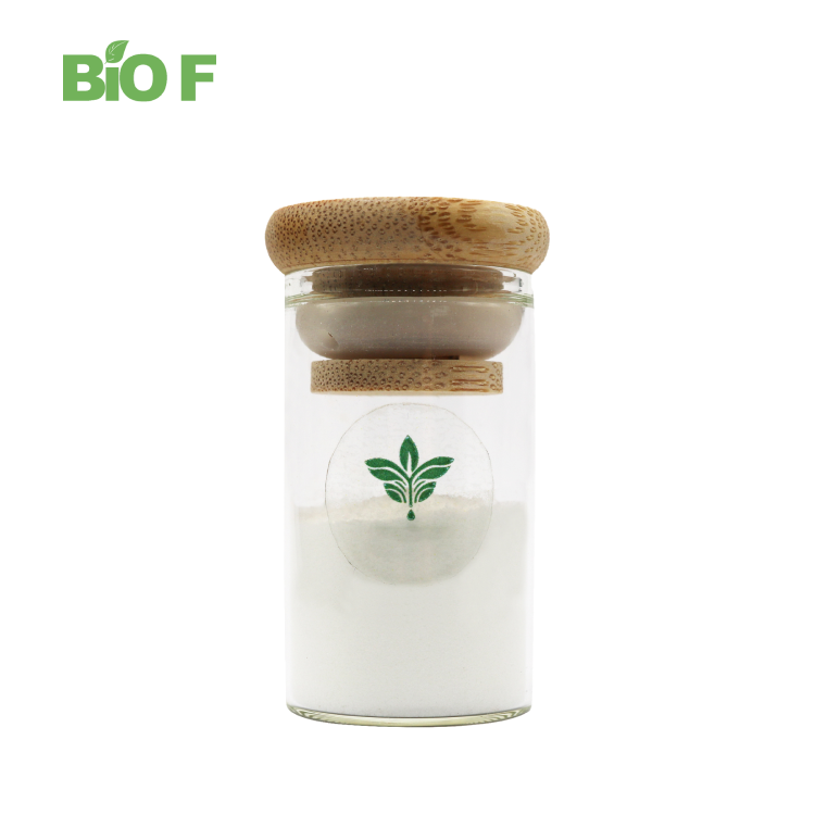 BIOF Supply High Quality Nefiracetam Powder CAS 77191-36-7 Nefiracetam
