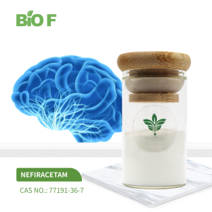 BIOF Supply High Quality Nefiracetam Powder CAS 77191-36-7 Nefiracetam