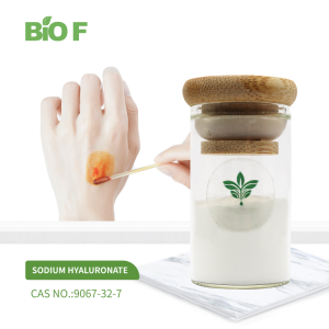BIOF Supply High Quality Sodium Hyaluronate CAS 9067-32-7 Hyaluronic Acid Sodium Salt
