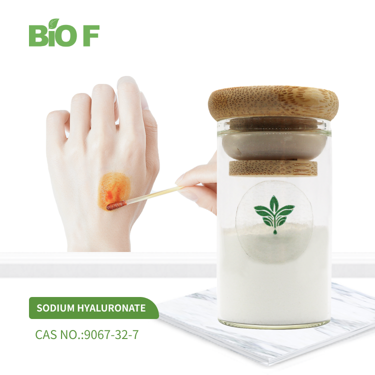BIOF Supply High Quality Sodium Hyaluronate CAS 9067-32-7 Hyaluronic Acid Sodium Salt
