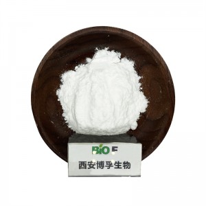 Top Quality Pyridoxine powder cas 65-23-6 vitamin B6 powder