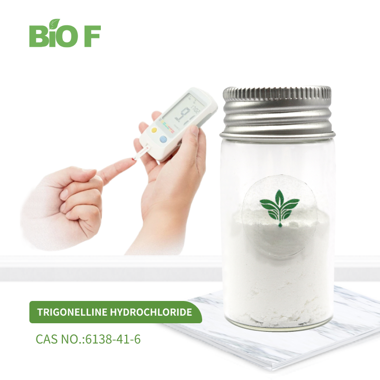 BIOF Supply High Quality Trigonelline hydrochloride Powder CAS 6138-41-6 Trigonelline HCL
