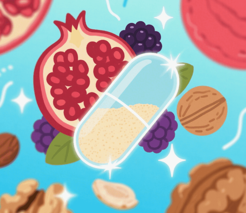 The Hidden Health Hero in Your Fruit Bowl: Unraveling Urolithin A