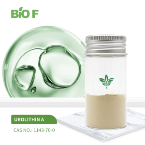 BIOF Supply High Quality CAS 1143-70-0 98% Urolithin A Powder