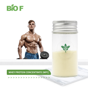 BIOF Supply High Quality Whey Protein Concentrate Powder WPC Powder