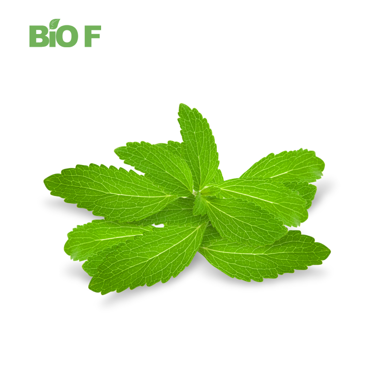 Sweetener Food Additive 95% Steviol Glycosides Stevia Leaf Extract Powder with Best Price