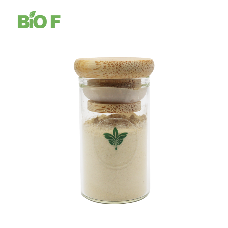Healthcare Supplement Celery Seed Extract Apigenin Extract Powder in Bulk