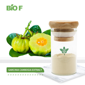 Wholesale High Quality Herbal Extract Garcinia Cambogia Extract Powder