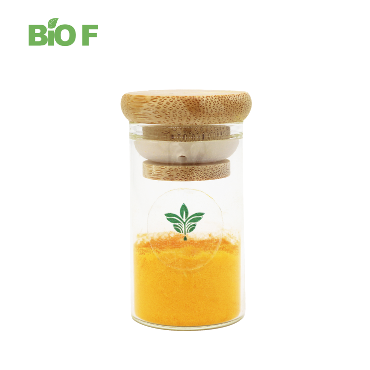 Sea Buckthorn Powder Sea Buckthorn Fruit Extract Powder in Bulk